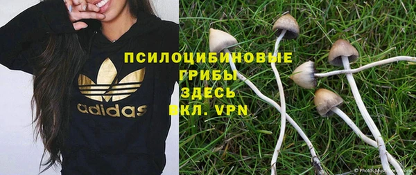 гидропоника Алексин