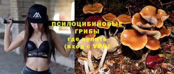 гидропоника Алексин