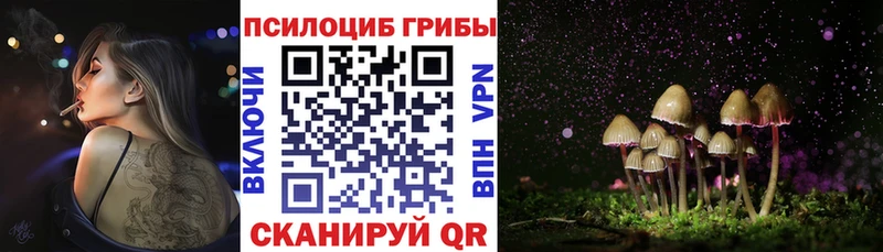 Псилоцибиновые грибы Psilocybe  цена   Среднеколымск 